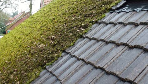 Nettoyage et démoussage de toiture à Bry-sur-Marne dans le Val de Marne.